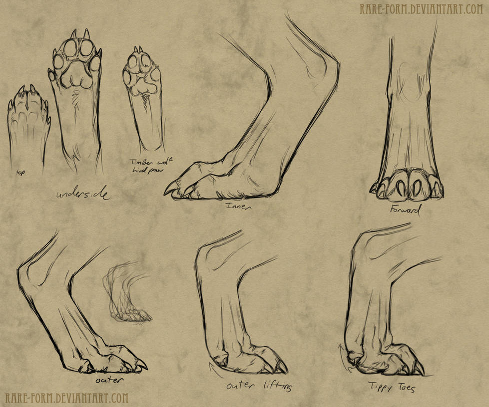 paws